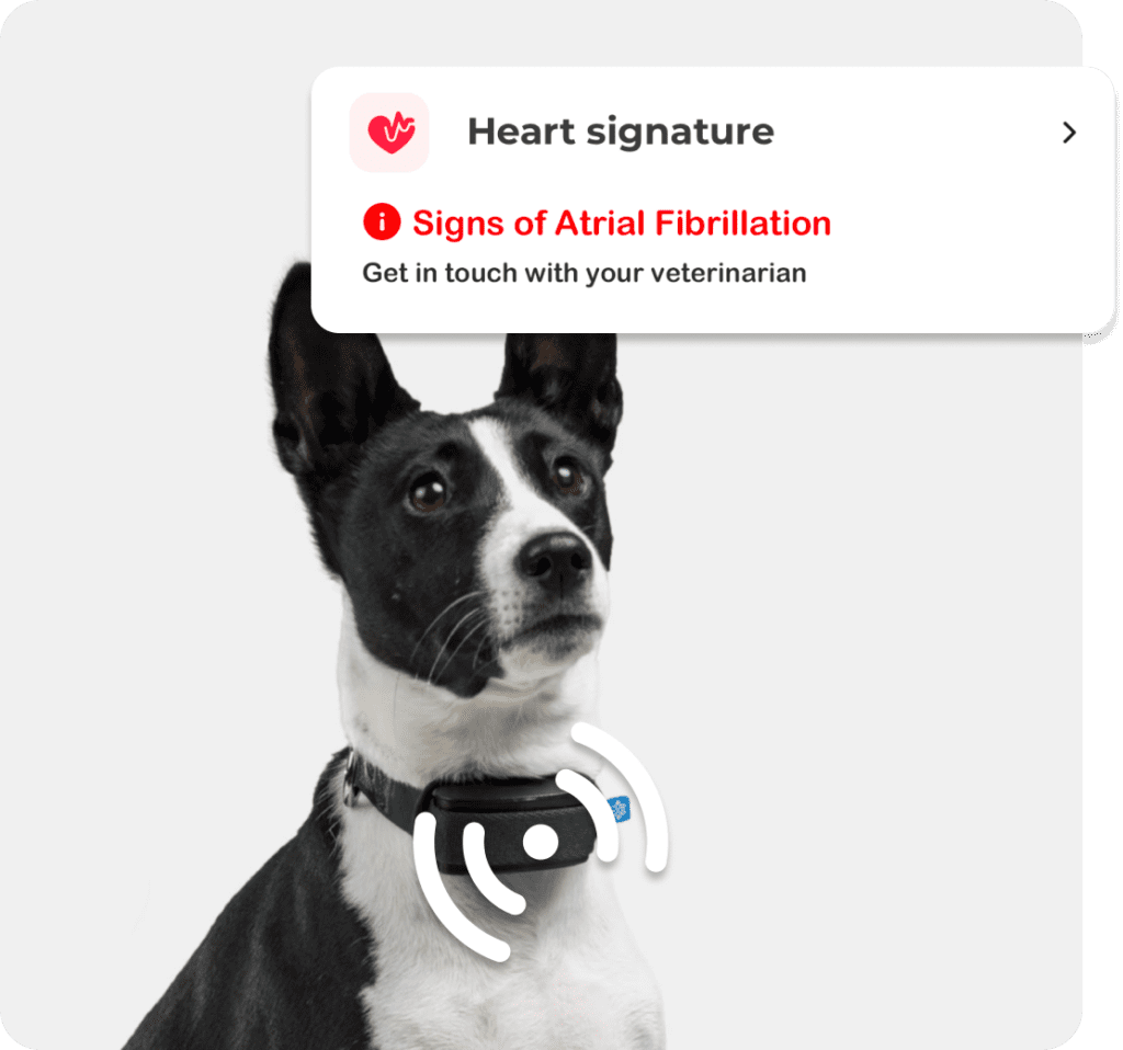 Heart Signature Monitoring