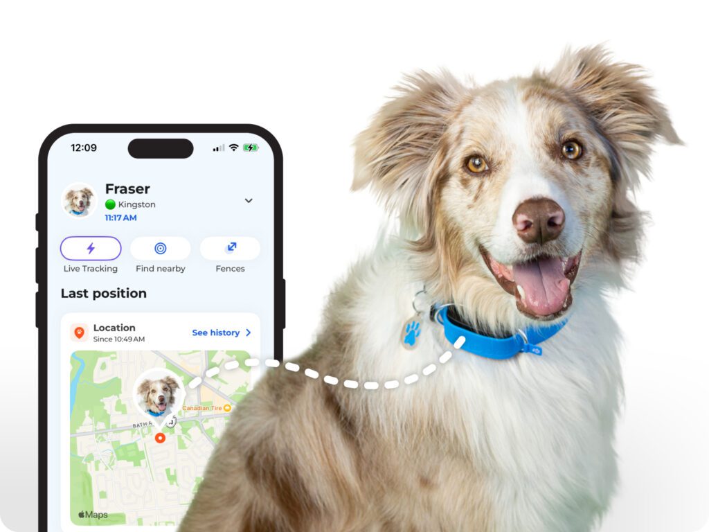 Ultimate GPS Pet Tracker Health Activity Monitoring for Dogs